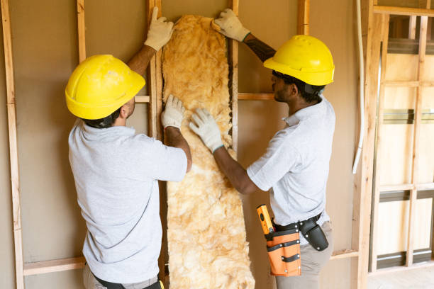 Best Spray Foam Insulation  in Dayton, NV