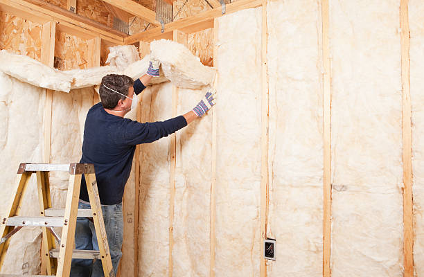 Types of Insulation We Offer in Dayton, NV