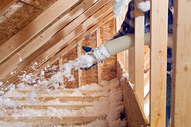 Best Blown-In Insulation  in Dayton, NV