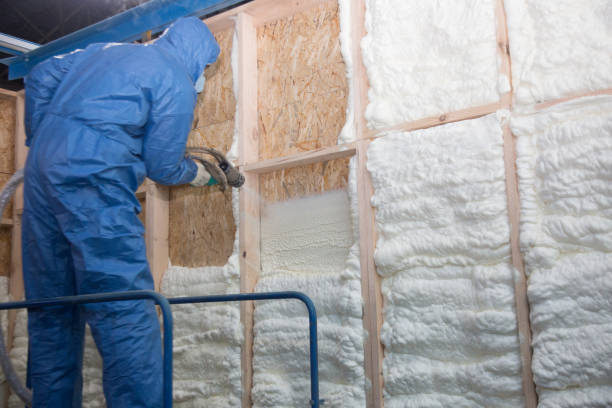 Best Crawl Space Insulation  in Dayton, NV